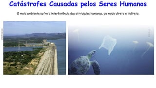 O meio ambiente sofre a interferência das atividades humanas, de modo direto e indireto.
Catástrofes Causadas pelos Seres Humanos
 