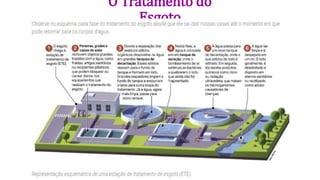 O Tratamento do
Esgoto
 
