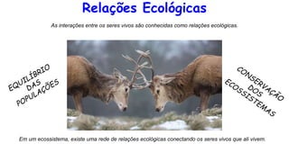 Relações Ecológicas
As interações entre os seres vivos são conhecidas como relações ecológicas.
Em um ecossistema, existe uma rede de relações ecológicas conectando os seres vivos que ali vivem.
 