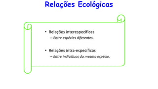 Relações Ecológicas
 