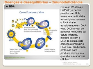 Doenças e desequilíbrios – Imunodeficiência
Cláudia Barros Moreira
2020/2021 Biologia 12º ano 101
A SIDA
http://www.euroclinix.com.pt/
O vírus HIV ataca o
Linfócito, e depois
penetra na célula,
fazendo a partir daí a
transcriptase reversa,
o RNA viral é
transformado em DNA
viral. O DNA viral ao
penetrar no núcleo da
célula infetada,
mistura-se com o
DNA da célula, esta
começa a produzir o
RNA viral, produzindo
proteínas para
produzir novos vírus
que irão infetar novas
células.
 