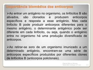 Importância biomédica dos anticorpos
Cláudia Barros Moreira
2020/2021 Biologia 12º ano 111
Ao entrar um antigénio no organismo, os linfócitos B são
ativados, são clonados e produzem anticorpos
específicos e resposta a esse antigénio. Mas cada
linfócito B pode produzir anticorpos diferentes para o
mesmo antigénio, o determinante antigénico pode ser
diferente em cada linfócito, ou seja, quando o antigénio
entra no organismo há uma produção diversificada de
anticorpos.
Ao retirar-se soro de um organismo imunizado a um
determinado antigénio, encontram-se uma série de
anticorpos específicos produzidos por diferentes clones
de linfócitos B (anticorpos policlonais).
 