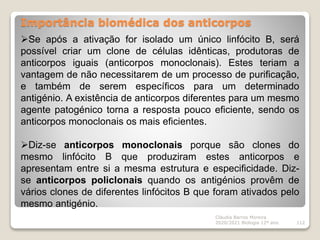 Importância biomédica dos anticorpos
Cláudia Barros Moreira
2020/2021 Biologia 12º ano 112
Se após a ativação for isolado um único linfócito B, será
possível criar um clone de células idênticas, produtoras de
anticorpos iguais (anticorpos monoclonais). Estes teriam a
vantagem de não necessitarem de um processo de purificação,
e também de serem específicos para um determinado
antigénio. A existência de anticorpos diferentes para um mesmo
agente patogénico torna a resposta pouco eficiente, sendo os
anticorpos monoclonais os mais eficientes.
Diz-se anticorpos monoclonais porque são clones do
mesmo linfócito B que produziram estes anticorpos e
apresentam entre si a mesma estrutura e especificidade. Diz-
se anticorpos policlonais quando os antigénios provêm de
vários clones de diferentes linfócitos B que foram ativados pelo
mesmo antigénio.
 