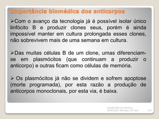 Importância biomédica dos anticorpos
Cláudia Barros Moreira
2020/2021 Biologia 12º ano 114
Com o avanço da tecnologia já é possível isolar único
linfócito B e produzir clones seus, porém é ainda
impossível manter em cultura prolongada esses clones,
não sobrevivem mais de uma semana em cultura.
Das muitas células B de um clone, umas diferenciam-
se em plasmócitos (que continuam a produzir o
anticorpo) e outras ficam como células de memória.
 Os plasmócitos já não se dividem e sofrem apoptose
(morte programada), por esta razão a produção de
anticorpos monoclonais, por esta via, é baixa.
 