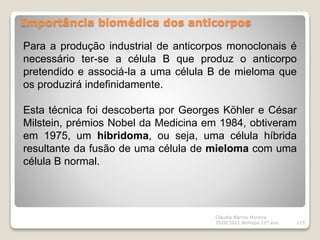 Importância biomédica dos anticorpos
Cláudia Barros Moreira
2020/2021 Biologia 12º ano 115
Para a produção industrial de anticorpos monoclonais é
necessário ter-se a célula B que produz o anticorpo
pretendido e associá-la a uma célula B de mieloma que
os produzirá indefinidamente.
Esta técnica foi descoberta por Georges Köhler e César
Milstein, prémios Nobel da Medicina em 1984, obtiveram
em 1975, um hibridoma, ou seja, uma célula híbrida
resultante da fusão de uma célula de mieloma com uma
célula B normal.
 