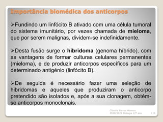 Importância biomédica dos anticorpos
Cláudia Barros Moreira
2020/2021 Biologia 12º ano 116
Fundindo um linfócito B ativado com uma célula tumoral
do sistema imunitário, por vezes chamada de mieloma,
que por serem malignas, dividem-se indefinidamente.
Desta fusão surge o hibridoma (genoma híbrido), com
as vantagens de formar culturas celulares permanentes
(mieloma), e de produzir anticorpos específicos para um
determinado antigénio (linfócito B).
De seguida é necessário fazer uma seleção de
hibridomas e aqueles que produziram o anticorpo
pretendido são isolados e, após a sua clonagem, obtém-
se anticorpos monoclonais.
 