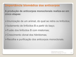 Importância biomédica dos anticorpos
Cláudia Barros Moreira
2020/2021 Biologia 12º ano 117
A produção de anticorpos monoclonais realiza-se em
cinco etapas:
Imunização de um animal, do qual se retira os linfócitos;
Isolamento de linfócitos B a partir do baço;
Fusão dos linfócitos B com mielomas;
Crescimento clonal dos hibridomas;
Recolha e purificação dos anticorpos monoclonais.
 