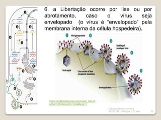 Cláudia Barros Moreira
2020/2021 Biologia 12º ano 12
6. a Libertação ocorre por lise ou por
abrotamento, caso o vírus seja
envelopado (o vírus é “envelopado” pela
membrana interna da célula hospedeira).
https://lookfordiagnosis.com/mesh_info.ph
p?term=Brotamento+Viral&lang=3
 