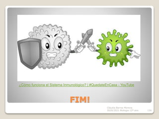 FIM!
Cláudia Barros Moreira
2020/2021 Biologia 12º ano 134
¿Cómo funciona el Sistema Inmunológico? | #QuedateEnCasa - YouTube
 