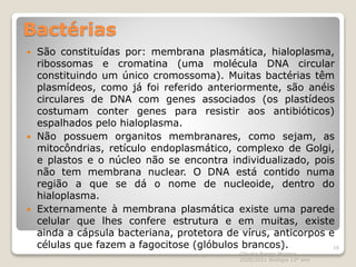 Bactérias
 São constituídas por: membrana plasmática, hialoplasma,
ribossomas e cromatina (uma molécula DNA circular
constituindo um único cromossoma). Muitas bactérias têm
plasmídeos, como já foi referido anteriormente, são anéis
circulares de DNA com genes associados (os plastídeos
costumam conter genes para resistir aos antibióticos)
espalhados pelo hialoplasma.
 Não possuem organitos membranares, como sejam, as
mitocôndrias, retículo endoplasmático, complexo de Golgi,
e plastos e o núcleo não se encontra individualizado, pois
não tem membrana nuclear. O DNA está contido numa
região a que se dá o nome de nucleoide, dentro do
hialoplasma.
 Externamente à membrana plasmática existe uma parede
celular que lhes confere estrutura e em muitas, existe
ainda a cápsula bacteriana, protetora de vírus, anticorpos e
células que fazem a fagocitose (glóbulos brancos).
Cláudia Barros Moreira
2020/2021 Biologia 12º ano
16
 
