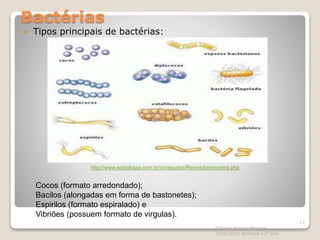 Bactérias
 Tipos principais de bactérias:
Cláudia Barros Moreira
2020/2021 Biologia 12º ano
17
http://www.sobiologia.com.br/conteudos/Reinos/biomonera.php
Cocos (formato arredondado);
Bacilos (alongadas em forma de bastonetes);
Espirilos (formato espiralado) e
Vibriões (possuem formato de virgulas).
 