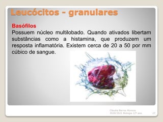Leucócitos - granulares
Cláudia Barros Moreira
2020/2021 Biologia 12º ano 27
Basófilos
Possuem núcleo multilobado. Quando ativados libertam
substâncias como a histamina, que produzem um
resposta inflamatória. Existem cerca de 20 a 50 por mm
cúbico de sangue.
 