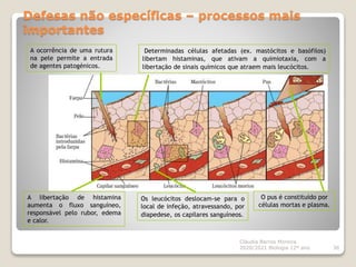 Defesas não específicas – processos mais
importantes
Cláudia Barros Moreira
2020/2021 Biologia 12º ano 38
O pus é constituído por
células mortas e plasma.
A libertação de histamina
aumenta o fluxo sanguíneo,
responsável pelo rubor, edema
e calor.
Determinadas células afetadas (ex. mastócitos e basófilos)
libertam histaminas, que ativam a quimiotaxia, com a
libertação de sinais químicos que atraem mais leucócitos.
A ocorrência de uma rutura
na pele permite a entrada
de agentes patogénicos.
Os leucócitos deslocam-se para o
local de infeção, atravessando, por
diapedese, os capilares sanguíneos.
 