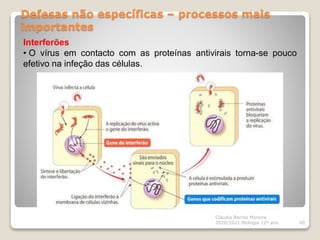 Defesas não específicas – processos mais
importantes
Cláudia Barros Moreira
2020/2021 Biologia 12º ano 40
Interferões
• O vírus em contacto com as proteínas antivirais torna-se pouco
efetivo na infeção das células.
 