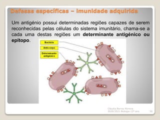 Defesas específicas – imunidade adquirida
Cláudia Barros Moreira
2020/2021 Biologia 12º ano 50
Um antigénio possui determinadas regiões capazes de serem
reconhecidas pelas células do sistema imunitário, chama-se a
cada uma destas regiões um determinante antigénico ou
epítopo.
 