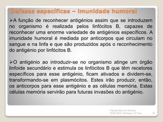 Defesas específicas – imunidade humoral
Cláudia Barros Moreira
2020/2021 Biologia 12º ano 52
A função de reconhecer antigénios assim que se introduzem
no organismo é realizada pelos linfócitos B, capazes de
reconhecer uma enorme variedade de antigénios específicos. A
imunidade humoral é mediada por anticorpos que circulam no
sangue e na linfa e que são produzidos após o reconhecimento
do antigénio por linfócitos B.
O antigénio ao introduzir-se no organismo atinge um órgão
linfoide secundário e estimula os linfócitos B que têm recetores
específicos para esse antigénio, ficam ativados e dividem-se,
transformando-se em plasmócitos. Estes irão produzir, então,
os anticorpos para esse antigénio e as células memória. Estas
células memória servirão para futuras invasões do antigénio.
 