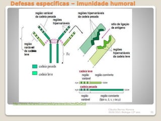 Defesas específicas – imunidade humoral
Cláudia Barros Moreira
2020/2021 Biologia 12º ano 55
http://www.4shared.com/web/preview/doc/mvlGxGh9
 