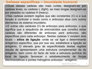 Defesas específicas – imunidade humoral
Cláudia Barros Moreira
2020/2021 Biologia 12º ano
56
Duas dessas cadeias são mais curtas, designam-se por
cadeias leves, ou cadeias L (light), as mais longas designam-se
por pesadas ou cadeias H (heavy).
Nas cadeias existem regiões que são constantes (C) e a sua
função é controlar o modo como o anticorpo atua com outros
elementos do sistema imunitário;
E outras são variáveis (V) de anticorpo para anticorpo, o que
significa que a sequência de aminoácidos que constitui estas
cadeias são diferentes de anticorpo para anticorpo, são
específicas para cada anticorpo. Nestas cadeias V existem dois
locais – sítios de ligação -onde se vai ligar o determinante
antigénico específico, que por sua vez, estabelece a ligação ao
antigénio. O elevado grau de especificidade destas regiões
resulta de apresentarem uma estrutura complementar da do
antigénio, bem como do facto de toda a estrutura química do
local de ligação favorecer o estabelecimento de forças
electroestáticas e pontes hidrogénio anticorpo - antigénio.
 