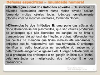 Defesas específicas – imunidade humoral
Cláudia Barros Moreira
2020/2021 Biologia 12º ano 62
Proliferação clonal dos linfócitos ativados - Os linfócitos B
ativados estimulados entram numa rápida divisão celular,
formando muitas células todas idênticas geneticamente
(clones), com os mesmos recetores, formando clones.
Diferenciação dos linfócitos B: uma parte das células do
clone diferencia-se em plasmócitos, que são células produtoras
de anticorpos que são libertados no sangue ou na linfa e
transportados até ao local da infeção, e outras, diferenciam-se
em células de memória que ficam inativas até reaparecer o
antigénio que foi responsável pela sua formação. O anticorpo
identifica a região localizada na superfície do antigénio, o
determinante antigénico e liga-se a ele. O órgão linfoide onde se
dá a produção dos anticorpos é no gânglio linfático que “incha”
pela existência da multiplicação dos linfócitos B e dos
plasmócitos.
 