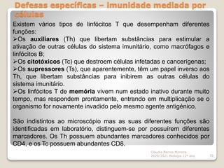 Defesas específicas – imunidade mediada por
células
Cláudia Barros Moreira
2020/2021 Biologia 12º ano 70
Existem vários tipos de linfócitos T que desempenham diferentes
funções:
Os auxiliares (Th) que libertam substâncias para estimular a
ativação de outras células do sistema imunitário, como macrófagos e
linfócitos B;
Os citotóxicos (Tc) que destroem células infetadas e cancerígenas;
Os supressores (Ts), que aparentemente, têm um papel inverso aos
Th, que libertam substâncias para inibirem as outras células do
sistema imunitário.
Os linfócitos T de memória vivem num estado inativo durante muito
tempo, mas respondem prontamente, entrando em multiplicação se o
organismo for novamente invadido pelo mesmo agente antigénico.
São indistintos ao microscópio mas as suas diferentes funções são
identificadas em laboratório, distinguem-se por possuírem diferentes
marcadores. Os Th possuem abundantes marcadores conhecidos por
CD4, e os Tc possuem abundantes CD8.
 