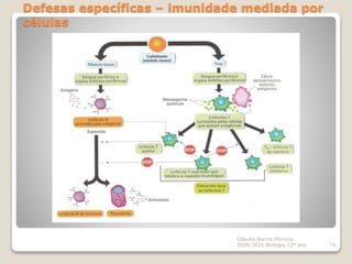 Defesas específicas – imunidade mediada por
células
Cláudia Barros Moreira
2020/2021 Biologia 12º ano 74
 