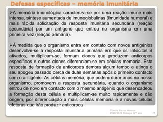 Defesas específicas – memória imunitária
Cláudia Barros Moreira
2020/2021 Biologia 12º ano 75
A memória imunológica caracteriza-se por uma reação imune mais
intensa, síntese aumentada de imunoglobulinas (Imunidade humoral) e
mais rápida solicitação da resposta imunitária secundária (reação
secundária) por um antígeno que entrou no organismo em uma
primeira vez (reação primária).
À medida que o organismo entra em contato com novos antigénios
desenvolve-se a resposta imunitária primária em que os linfócitos B
ativados, multiplicam-se, formam clones que produzem anticorpos
específicos e outros clones diferenciam-se em células memória. Esta
resposta de formação de anticorpos demora algum tempo e atinge o
seu apogeu passado cerca de duas semanas após o primeiro contacto
com o antigénio. As células memória, que podem durar anos no nosso
organismo, promovem a resposta secundária, quando o organismo
entrou de novo em contacto com o mesmo antigénio que desencadeou
a formação desta célula e multiplicam-se muito rapidamente e dão
origem, por diferenciação a mais células memória e a novas células
efetoras que irão produzir anticorpos.
 