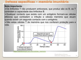 Defesas específicas – memória imunitária
Cláudia Barros Moreira
2020/2021 Biologia 12º ano 76
Nota importante:
Os linfócitos T não produzem anticorpos, que produz são os B, os T
controlam a capacidade dos linfócitos B.
Qualquer contacto que exista com um antigénio formam-se células
efetoras que combatem a infeção e células memória que atuam
quando existir um segundo contacto com o antigénio.
São estas células T de memória que nos conferem proteção para a
vida.
https://askabiologist.asu.edu/celulas_memoria
 