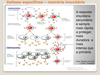 Defesas específicas – memória imunitária
Cláudia Barros Moreira
2020/2021 Biologia 12º ano 77
Fonte: Planeta com Vida
– 12ºano, Santillana
A resposta
imunitária
secundária
é sempre
mais rápida
a proteger,
mais
duradora e
mais
intensa que
a primária.
 