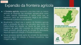 Expansão da fronteira agrícola
 A fronteira agrícola representa uma área mais ou menos
definida de expansão das atividades agropecuárias sobre
o meio natural. Geralmente, é nessa zona que se
registram casos de desmatamento ilegal e de conflitos
envolvendo a posse e o uso da terra.
 Atualmente, o Brasil vive o avanço da fronteira agrícola
para a produção da soja e da pecuária, que ocorre do
Centro-Oeste em direção ao Norte do país, onde os
criadores de gado têm investido na compra de terras.
Nesse processo, grande parte do cerrado foi desmatada,
seguindo agora em direção à Floresta Amazônica.
 Nesse processo, grande parte do cerrado foi desmatada,
seguindo agora em direção à Floresta Amazônica. Veja
imagem ao aldo.
Tema 3
 