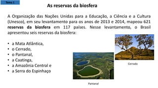 A Organização das Nações Unidas para a Educação, a Ciência e a Cultura
(Unesco), em seu levantamento para os anos de 2013 e 2014, mapeou 621
reservas da biosfera em 117 países. Nesse levantamento, o Brasil
apresentou seis reservas da biosfera:
• a Mata Atlântica,
• o Cerrado,
• o Pantanal,
• a Caatinga,
• a Amazônia Central e
• a Serra do Espinhaço
As reservas da biosfera
Cerrado
Pantanal
Tema 1
 