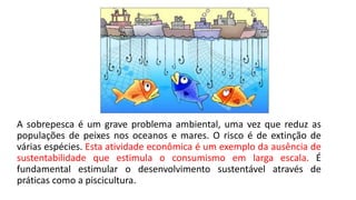 A sobrepesca é um grave problema ambiental, uma vez que reduz as
populações de peixes nos oceanos e mares. O risco é de extinção de
várias espécies. Esta atividade econômica é um exemplo da ausência de
sustentabilidade que estimula o consumismo em larga escala. É
fundamental estimular o desenvolvimento sustentável através de
práticas como a piscicultura.
 