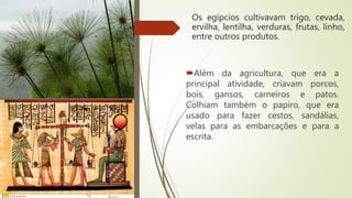 Os egípcios cultivavam trigo, cevada,
ervilha, lentilha, verduras, frutas, linho,
entre outros produtos.
Além da agricultura, que era a
principal atividade, criavam porcos,
bois, gansos, carneiros e patos.
Colhiam também o papiro, que era
usado para fazer cestos, sandálias,
velas para as embarcações e para a
escrita.
 