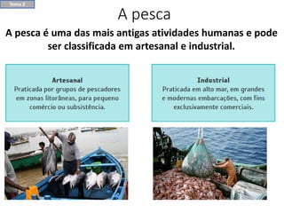 A pesca
A pesca é uma das mais antigas atividades humanas e pode
ser classificada em artesanal e industrial.
Tema 2
 