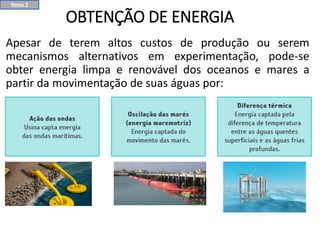 OBTENÇÃO DE ENERGIA
Apesar de terem altos custos de produção ou serem
mecanismos alternativos em experimentação, pode-se
obter energia limpa e renovável dos oceanos e mares a
partir da movimentação de suas águas por:
Tema 2
 