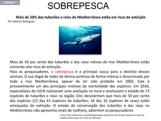 SOBREPESCA
Mais de 50% dos tubarões e raias do Mediterrâneo estão em risco de extinção
Por Sabrina Rodrigues
Mais de 50 por cento dos tubarões e das raias nativas do mar Mediterrâneo estão
correndo alto risco de extinção.
Para os pesquisadores, a sobrepesca é a principal causa para o declínio desses
animais. O uso ilegal de redes de deriva continua de forma intensa e disseminada por
todo a mar Mediterrâneo, apesar de ter sido proibido em 2002. Este é
provavelmente um dos principais motivos da mortalidade das espécies. Em 2016,
especialistas do IUCN realizaram uma avaliação no local e analisaram o estado de 73
espécies de tubarões e raias na região. Eles descobriram que mais de 50 por cento
das espécies (22 das 41 espécies de tubarões; 16 das 32 espécies de raias) estão
ameaçadas de extinção. O estado de conservação dos tubarões e das raias no
Mediterrâneo não apresenta sinais de melhora, advertem os pesquisadores.
Fonte: http://www.oeco.org.br/blogs/salada-verde/mais-de-50-dos-tubaroes-e-raias-do-
mediterraneo-estao-em-risco-de-extincao/
Tema 2
 