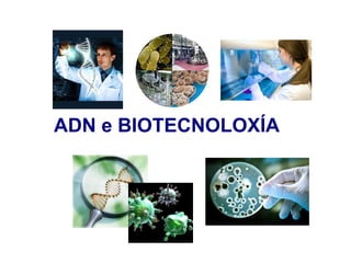 ADN e BIOTECNOLOXÍA
 