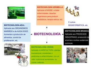BIOTECNOLOXÍA
BIOTECNOLOXÍA VERMELLA:
Aplicada á SAÚDE: a tratar
enfermidades, deseñar
organismos para producir
antibióticos, terapia xénica, etc.
BIOTECNOLOXÍA AZUL:
Aplicada aos ORGANISMOS
MARIÑOS e de AUGA DOCE:
Aumentar a producción de
alimentos, control da
proliferación, etc
BIOTECNOLOXÍA VERDE:
Aplicada á AGRICULTURA: plantas
transxénicas resistentes a
pesticidas e enfermidades, con un
valor nutricional aumentado, ou
outras melloras.
BIOTECNOLOXÍA BRANCA:
Aplicada aos PROCESOS
INDUSTRIAIS: producción de
enzimas e outras sustancias
químicas.
E outras:
BIOINFORMÁTICA, etc
 