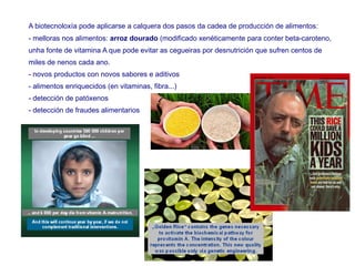 A biotecnoloxía pode aplicarse a calquera dos pasos da cadea de producción de alimentos:
- melloras nos alimentos: arroz dourado (modificado xenéticamente para conter beta-caroteno,
unha fonte de vitamina A que pode evitar as cegueiras por desnutrición que sufren centos de
miles de nenos cada ano.
- novos productos con novos sabores e aditivos
- alimentos enriquecidos (en vitaminas, fibra...)
- detección de patóxenos
- detección de fraudes alimentarios
 