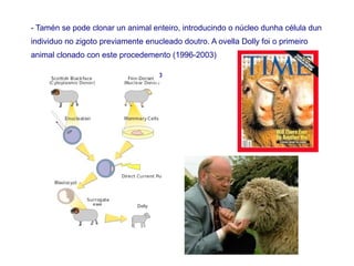 - Tamén se pode clonar un animal enteiro, introducindo o núcleo dunha célula dun
individuo no zigoto previamente enucleado doutro. A ovella Dolly foi o primeiro
animal clonado con este procedemento (1996-2003)
 
