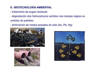 6.- BIOTECNOLOXÍA AMBIENTAL
- tratamento de augas residuais
- degradación dos hidrocarburos vertidos nas mareas negras ou
vertidos de petróleo
- eliminación de metais pesados do solo (As, Pb, Hg)
 