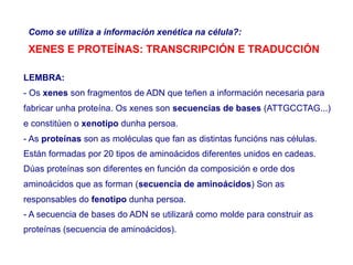 LEMBRA:
- Os xenes son fragmentos de ADN que teñen a información necesaria para
fabricar unha proteína. Os xenes son secuencias de bases (ATTGCCTAG...)
e constitúen o xenotipo dunha persoa.
- As proteínas son as moléculas que fan as distintas funcións nas células.
Están formadas por 20 tipos de aminoácidos diferentes unidos en cadeas.
Dúas proteínas son diferentes en función da composición e orde dos
aminoácidos que as forman (secuencia de aminoácidos) Son as
responsables do fenotipo dunha persoa.
- A secuencia de bases do ADN se utilizará como molde para construir as
proteínas (secuencia de aminoácidos).
Como se utiliza a información xenética na célula?:
XENES E PROTEÍNAS: TRANSCRIPCIÓN E TRADUCCIÓN
 