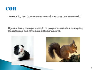 No entanto, nem todos os seres vivos vêm as cores do mesmo modo. Alguns animais, como por exemplo os porquinhos da índia e os esquilos, são daltónicos, não conseguem distinguir as cores. 