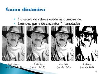 É a escala de valores usada na quantização. Exemplo: gama de cinzentos (intensidade) 256 níveis (escala: 0-255) 16 níveis (escala: 0-15) 3 níveis (escala: 0-2) 2 níveis (escala: 0-1) 