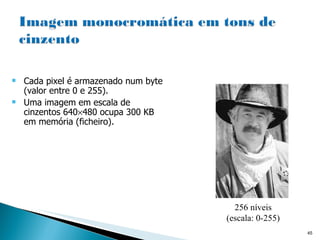 Cada pixel é armazenado num byte (valor entre 0 e 255). Uma imagem em escala de cinzentos 640  480 ocupa 300 KB em memória (ficheiro). 256 níveis (escala: 0-255) 