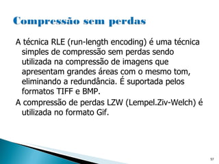 A técnica RLE (run-length encoding) é uma técnica simples de compressão sem perdas sendo utilizada na compressão de imagens que apresentam grandes áreas com o mesmo tom, eliminando a redundância. É suportada pelos formatos TIFF e BMP. A compressão de perdas LZW (Lempel.Ziv-Welch) é utilizada no formato Gif. 