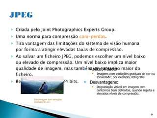 Criada pelo Joint Photographics Experts Group.  Uma norma para compressão  com-perdas . Tira vantagem das limitações do sistema de visão humana por forma a atingir elevadas taxas de compressão. Ao salvar um ficheiro JPEG, podemos escolher um nível baixo ou elevado de compressão. Um nível baixo implica maior qualidade de imagem, mas também um tamanho maior do ficheiro. Resolução de côr: até 24 bits. Aplicabilidade:  Imagens com variações graduais de cor ou tonalidade; por exemplo, fotografia. Desvantagens: Degradação visível em imagem com contornos bem definidos, quando sujeita a elevados níveis de compressão. Esta imagem tem variações graduais de cor. 