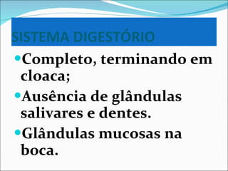 SISTEMA DIGESTÓRIO Completo, terminando em cloaca; Ausência de glândulas salivares e dentes. Glândulas mucosas na boca. 