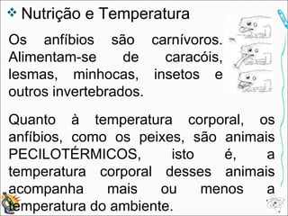 Nutrição e Temperatura Os anfíbios são carnívoros. Alimentam-se de caracóis, lesmas, minhocas, insetos e outros invertebrados. Quanto à temperatura corporal, os anfíbios, como os peixes, são animais PECILOTÉRMICOS, isto é, a temperatura corporal desses animais acompanha mais ou menos a temperatura do ambiente. 