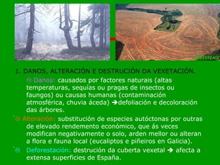 1. DANOS, ALTERACIÓN E DESTRUCIÓN DA VEXETACIÓN.    Danos:  causados por factores naturais (altas temperaturas, sequías ou pragas de insectos ou faungos) ou causas humanas (contaminación atmosférica, chuvia áceda)   defoliación e decoloración das árbores.     Alteración:  substitución de especies autóctonas por outras de elevado rendemento económico, que ás veces modifican negativamente o solo, arden mellor ou alteran a flora e fauna local (eucaliptos e piñeiros en Galicia).   Deforestación:  destrución da cuberta vexetal    afecta a extensa superficies de España.   