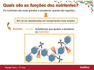 Quais são as funções dos nutrientes?
Os nutrientes são muito grandes e complexos; quando são ingeridos…

têm de ser desdobrados em componentes mais simples.
Enzimas

Planeta Terra — 9.º ano

Substâncias que ajudam a desdobrar
os nutrientes.

 